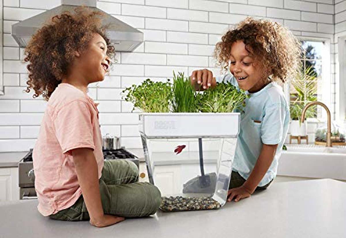 Back to the Roots Water Garden, Self-Cleaning Fish Tank That Grows Food, Mini Aquaponic Ecosystem (Great Gardening Gift & Family Project)