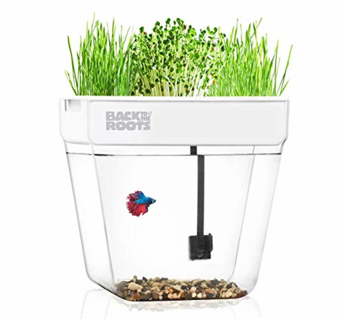Back to the Roots Water Garden, Self-Cleaning Fish Tank That Grows Food, Mini Aquaponic Ecosystem (Great Gardening Gift & Family Project)