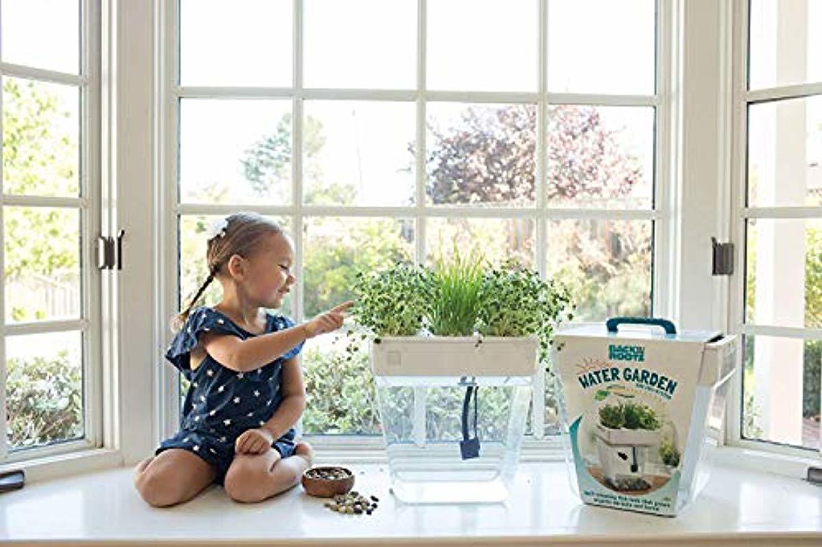 Back to the Roots Water Garden, Self-Cleaning Fish Tank That Grows Food, Mini Aquaponic Ecosystem (Great Gardening Gift & Family Project)