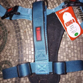 KONG Comfort Adjustable Padded Dog Harness - Blue, Size L