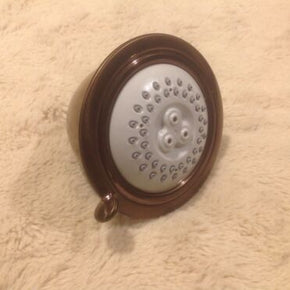 Hansgrohe Retroaktiv Showerhead In Oil Rub Bronze, New In Box, 1/2" Connection