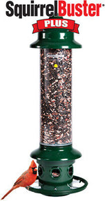 Squirrel Buster Plus Squirrel-proof Bird Feeder w/Cardinal Ring and 6 Feeding