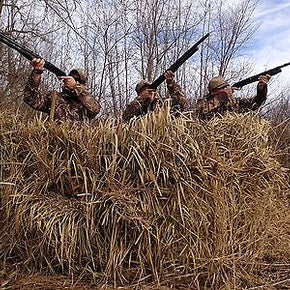 Quack Grass Palm Thatch Camo Duck Blind Material (5'Hx4'W - 4 sheets per bundle)