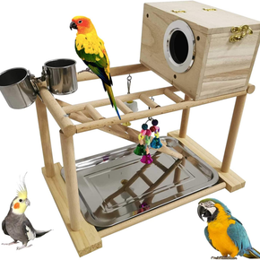 Parrots Playground Bird Playstand Birdcage Play Stand Wood Perch Gym Playpen wit