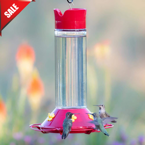 Red Base Glass Hummingbird Feeder Wide Mouth Best Perky Pet 30 Oz. Capacity Red