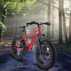 RED 20 Inch Mountain Bike Full Shimano 7 Speed Dual Disc Brake Fat Tire Bicycle