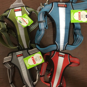 KONG dog harness, comfort + Reflective Padded, New, many colors ,size / Buckle Plastic / Color Blue / Dog Size XL