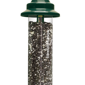 Brome 1024 Squirrel Buster Plus Squirrel Proof Bird Feeder Ring 6 Seed Ports