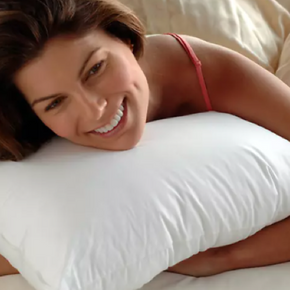 Envirosleep Dream Memories Memorlelle Fiber Pillow / Model Queen