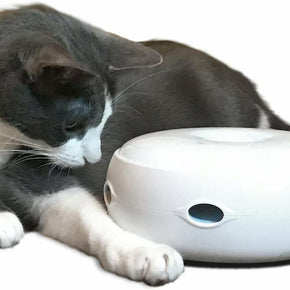 PetFusion Ambush Interactive Cat Toy with Electronic Rotating Feather. (Smart Mo