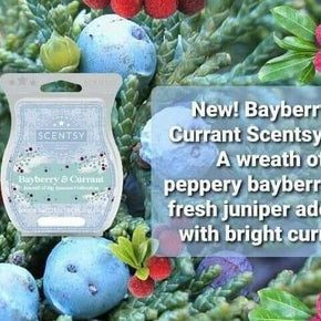 SCENTSY Wax Bars SCENTS A-K Retired BBMB HTF Up to 15% Off FREE SHIPPING / Scent Bayberry & Currant