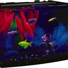 GloFish Betta Aquarium Kit 3 Gallons Easy Setup Perfect Fish Shrimp LED Tank