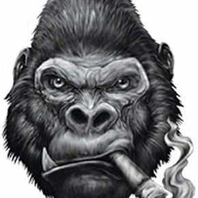 GORILLA SMOKING CIGAR BUMPER STICKER TOOLBOX STICKER LAPTOP STICKER DIE CUT